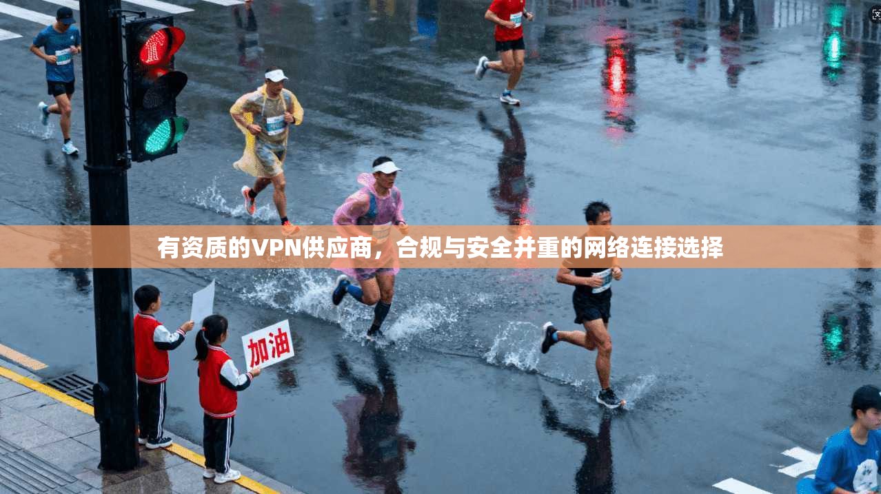 有资质的VPN供应商，合规与安全并重的网络连接选择