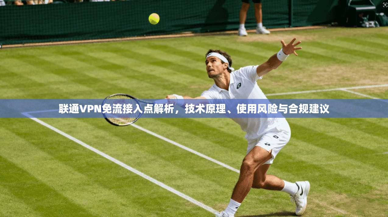 联通VPN免流接入点解析，技术原理、使用风险与合规建议