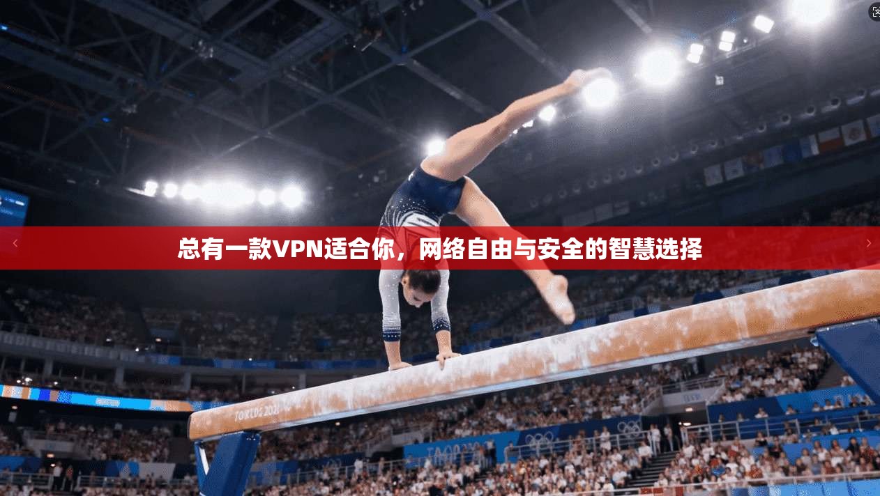 总有一款VPN适合你，网络自由与安全的智慧选择