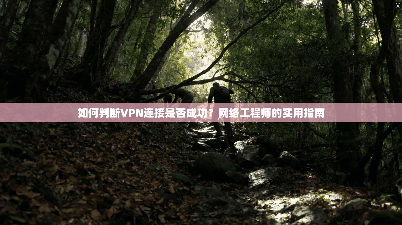 如何判断VPN连接是否成功？网络工程师的实用指南