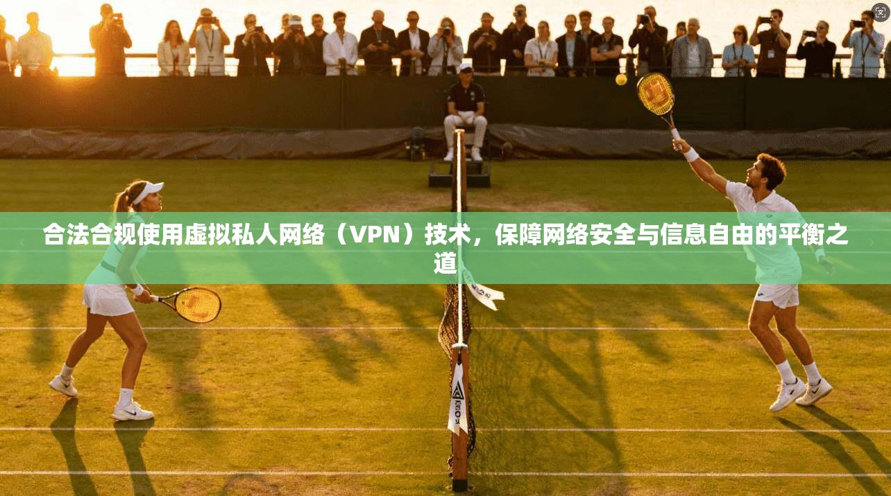 合法合规使用虚拟私人网络（VPN）技术，保障网络安全与信息自由的平衡之道