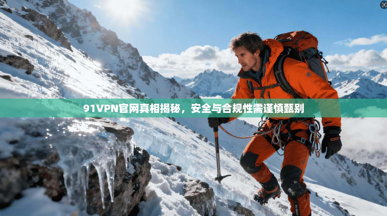 91VPN官网真相揭秘,安全与合规性需谨慎甄别