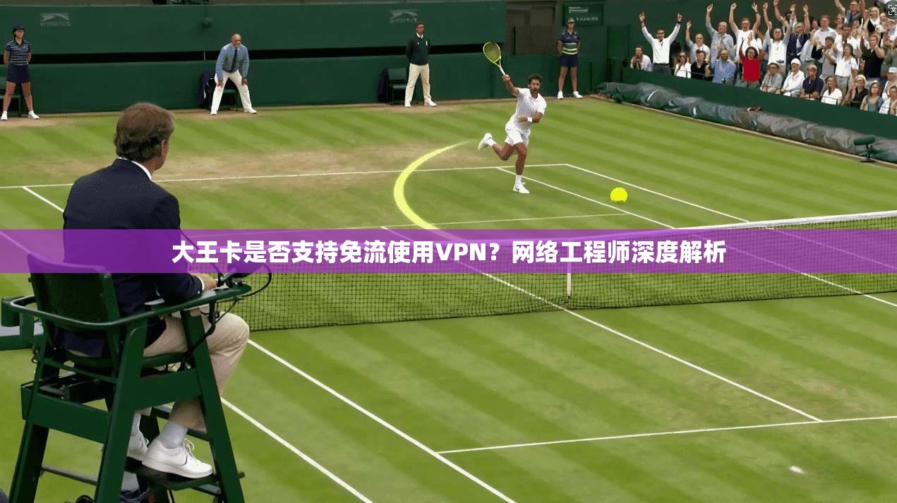 大王卡是否支持免流使用VPN？网络工程师深度解析