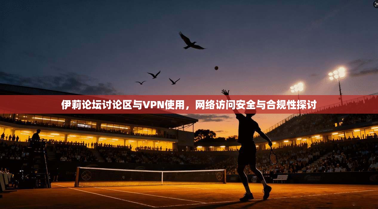 伊莉论坛讨论区与VPN使用，网络访问安全与合规性探讨