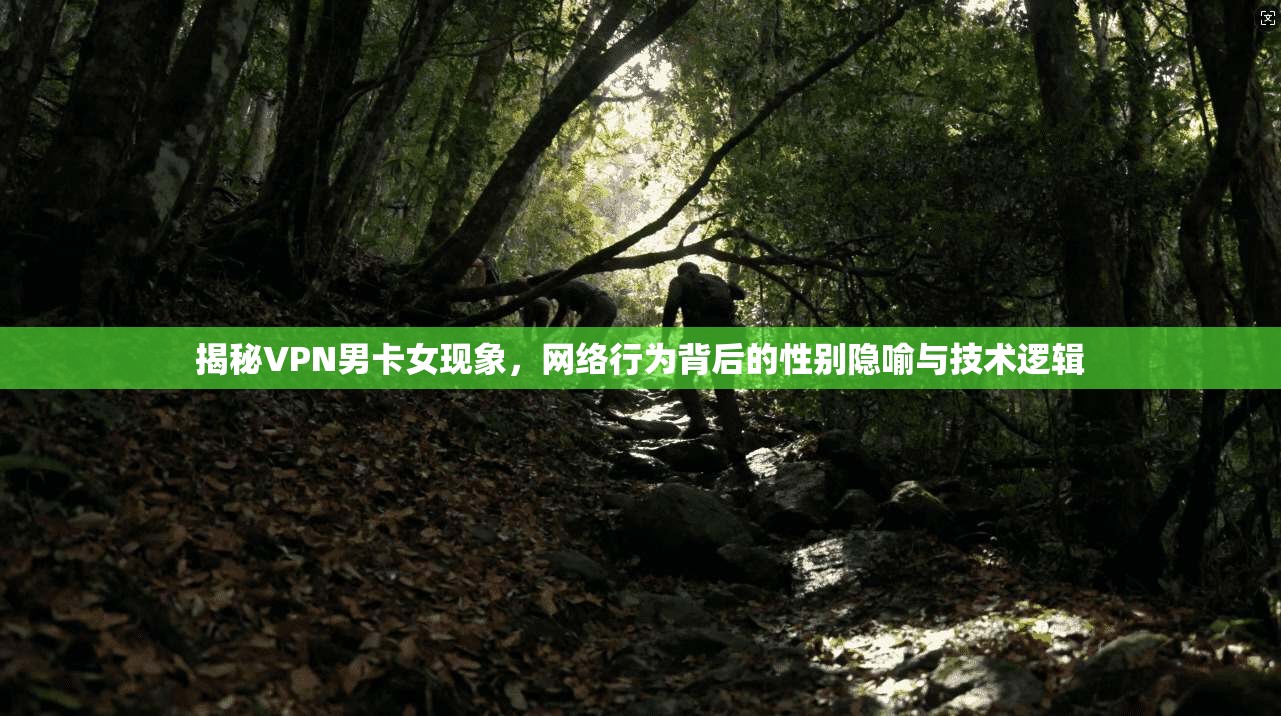 揭秘VPN男卡女现象，网络行为背后的性别隐喻与技术逻辑