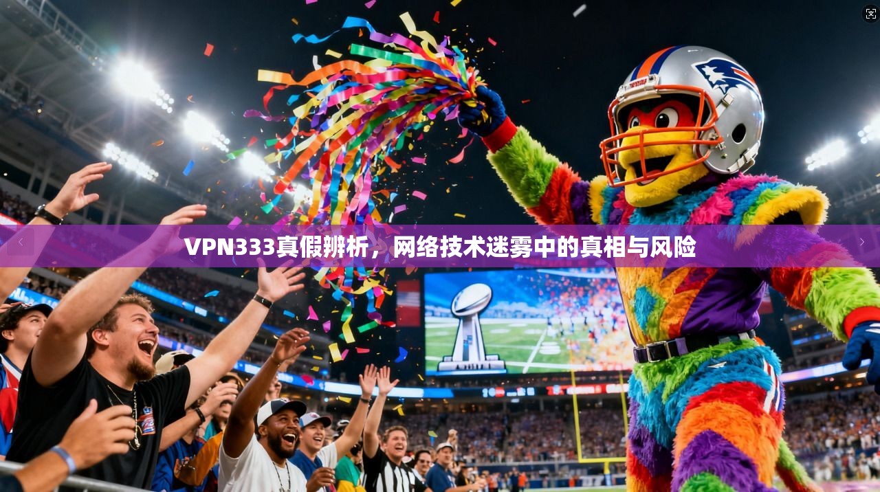 VPN333真假辨析，网络技术迷雾中的真相与风险  第1张
