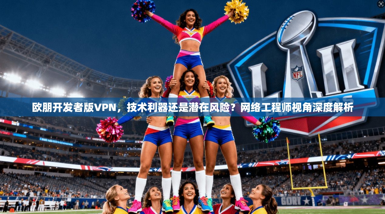 欧朋开发者版VPN，技术利器还是潜在风险？网络工程师视角深度解析