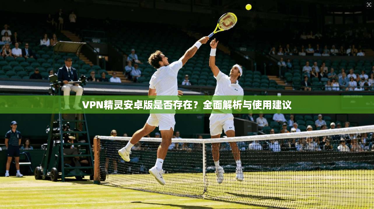 VPN精灵安卓版是否存在？全面解析与使用建议