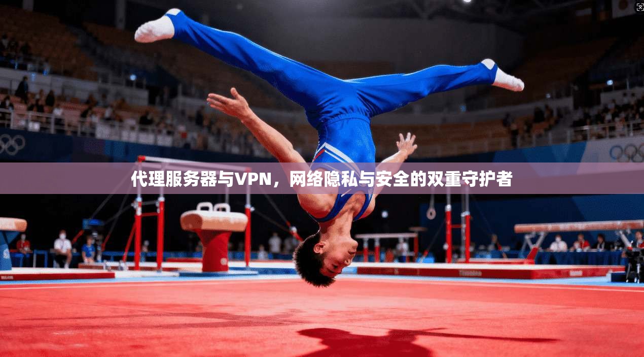 代理服务器与VPN，网络隐私与安全的双重守护者