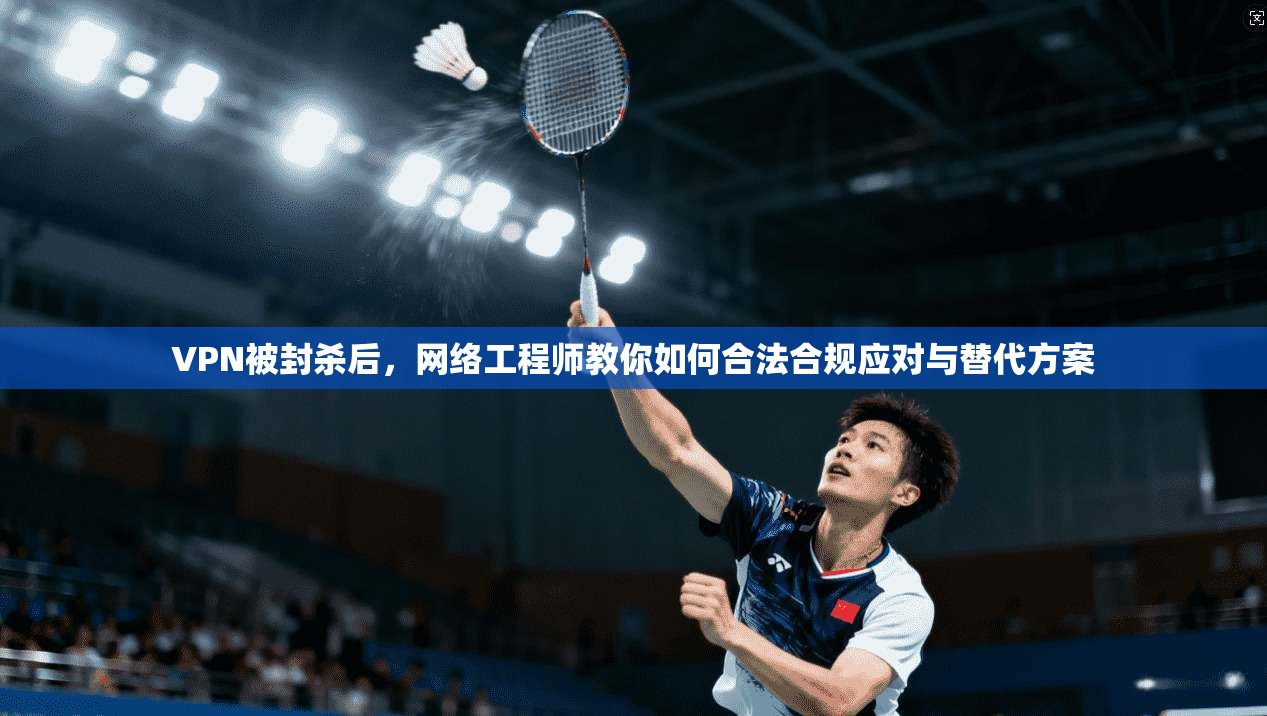 VPN被封杀后,网络工程师教你如何合法合规应对与替代方案