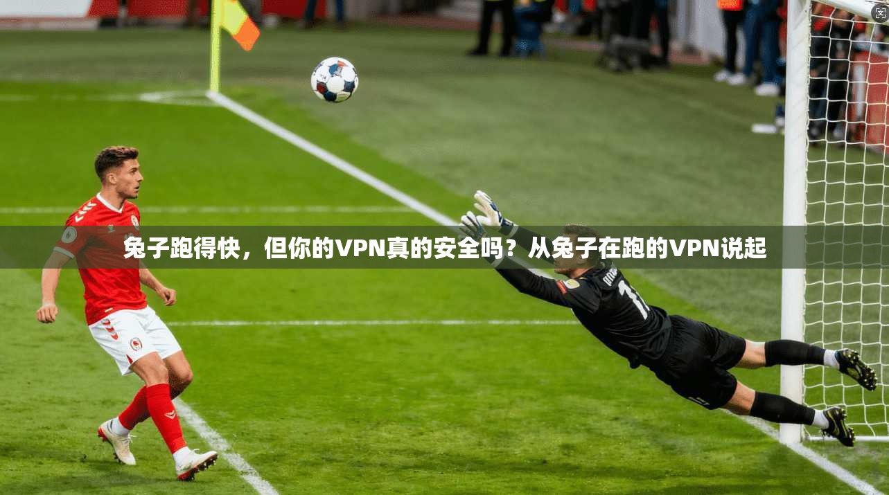 兔子跑得快，但你的VPN真的安全吗？从兔子在跑的VPN说起