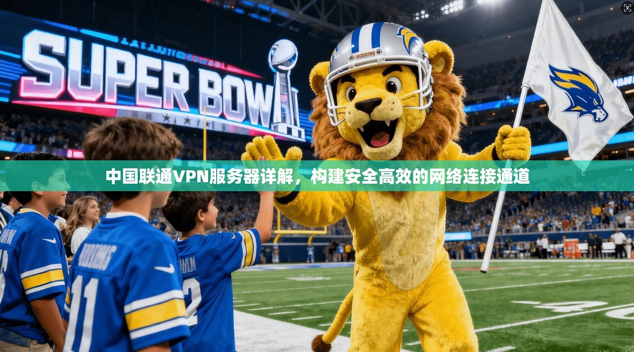 中国联通VPN服务器详解，构建安全高效的网络连接通道