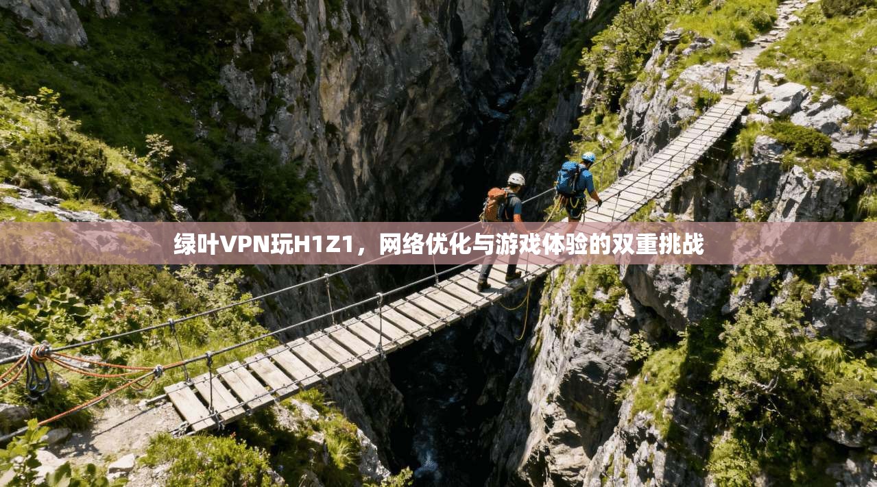 绿叶VPN玩H1Z1,网络优化与游戏体验的双重挑战