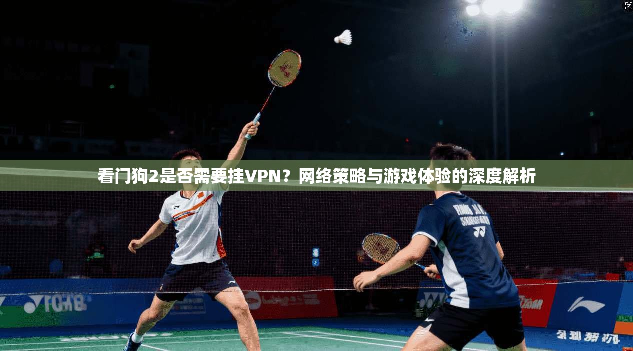 看门狗2是否需要挂VPN?网络策略与游戏体验的深度解析