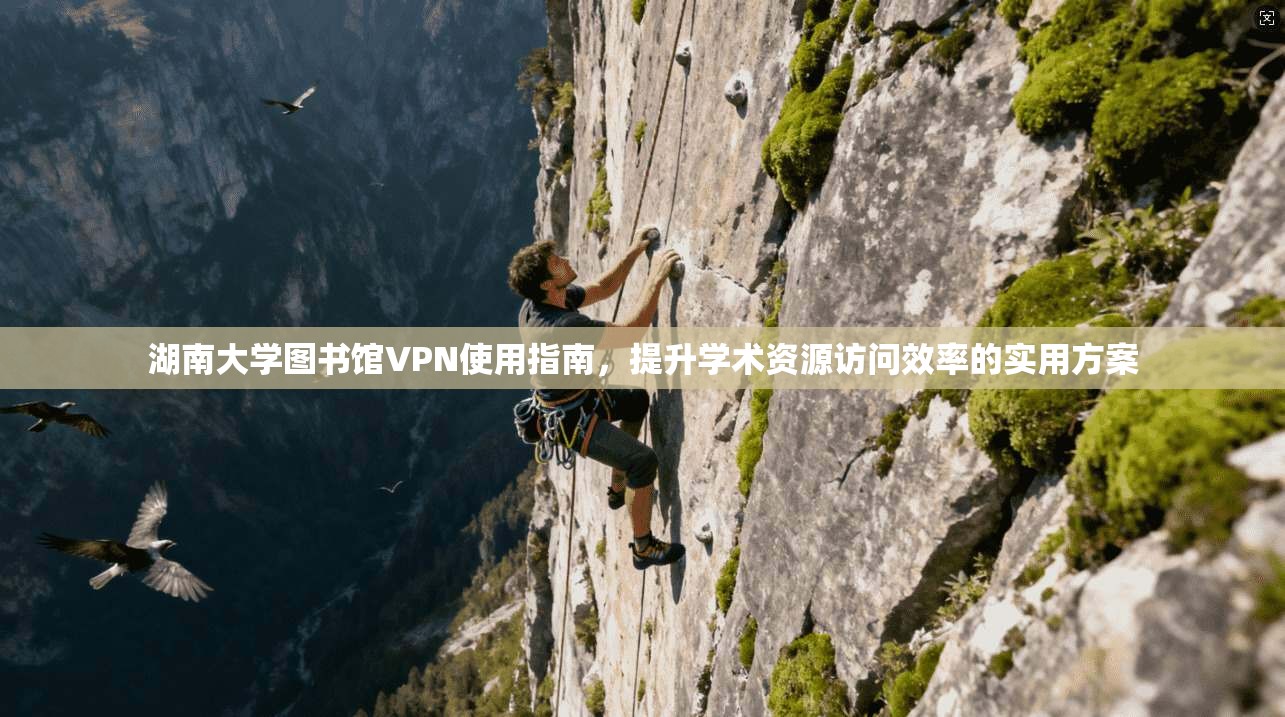 湖南大学图书馆VPN使用指南，提升学术资源访问效率的实用方案