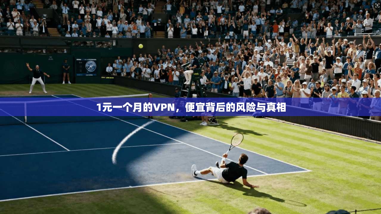 1元一个月的VPN，便宜背后的风险与真相