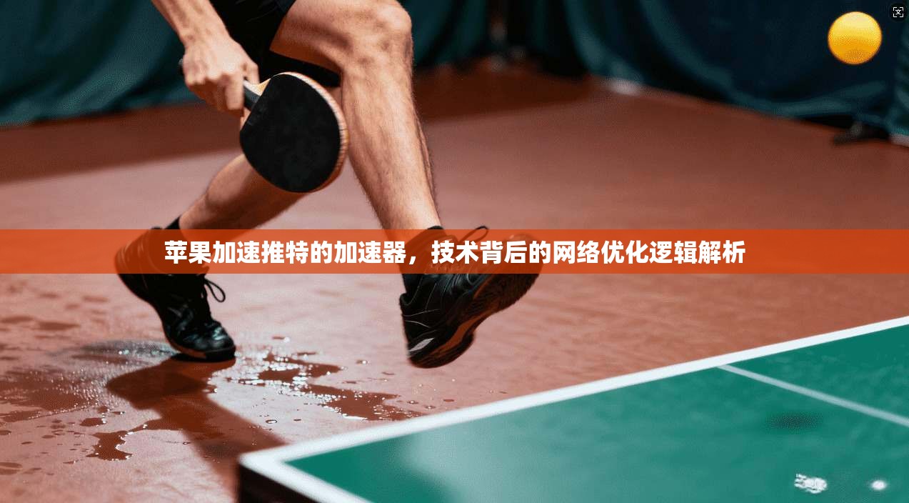 苹果加速推特的加速器,技术背后的网络优化逻辑解析
