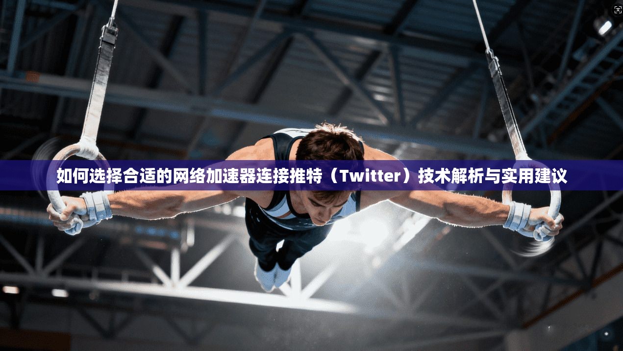 如何选择合适的网络加速器连接推特（Twitter）技术解析与实用建议