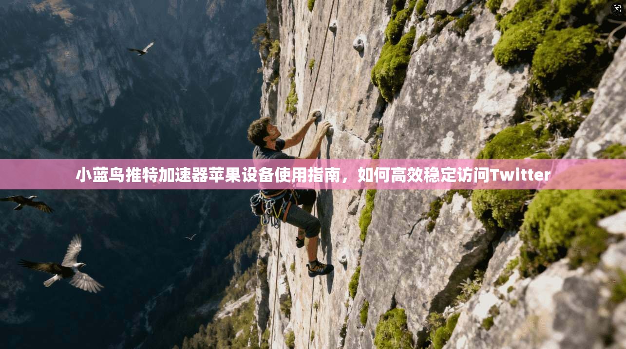 小蓝鸟推特加速器苹果设备使用指南，如何高效稳定访问Twitter