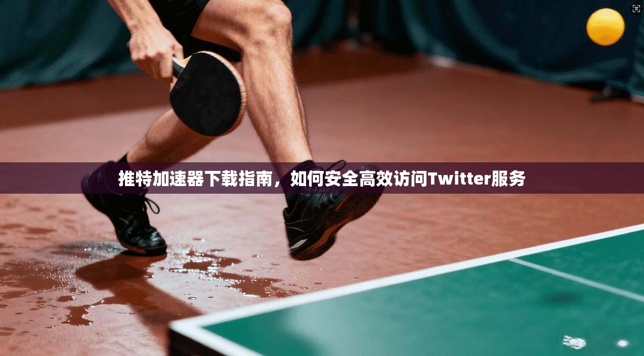 推特加速器下载指南，如何安全高效访问Twitter服务