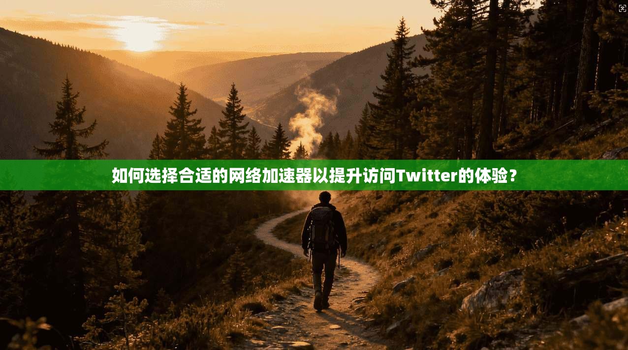 如何选择合适的网络加速器以提升访问Twitter的体验？