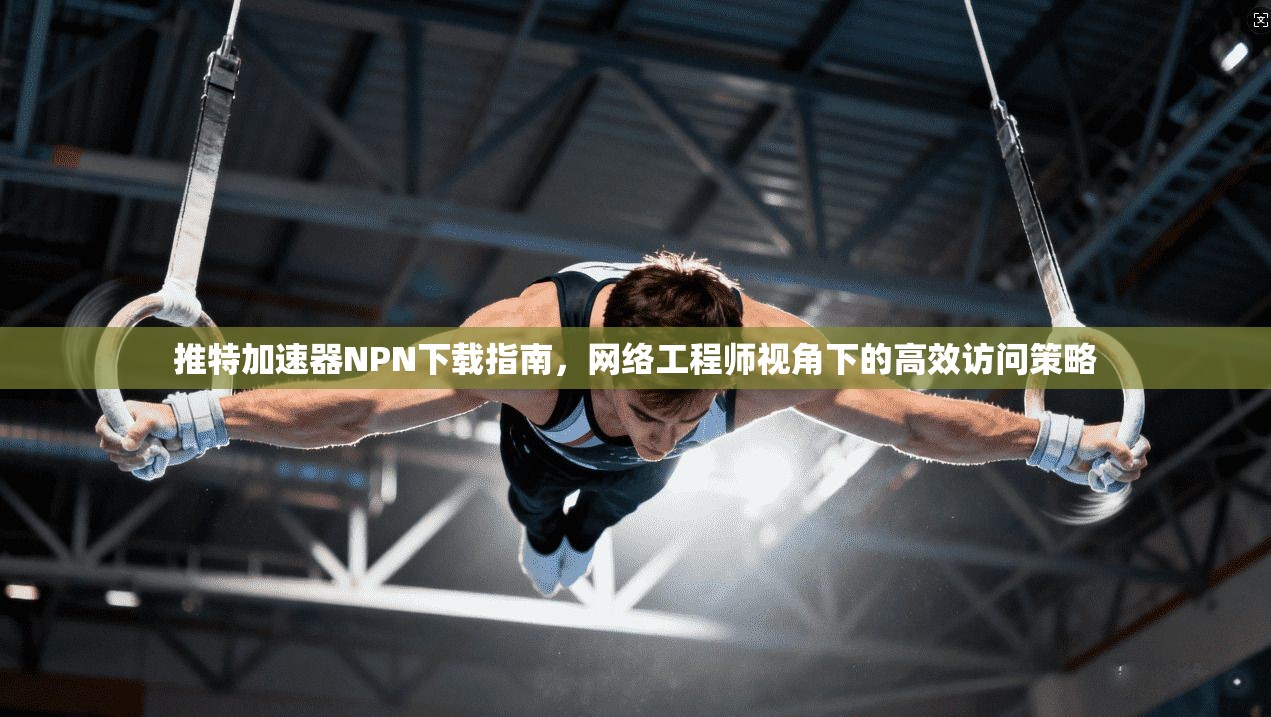 推特加速器NPN下载指南，网络工程师视角下的高效访问策略