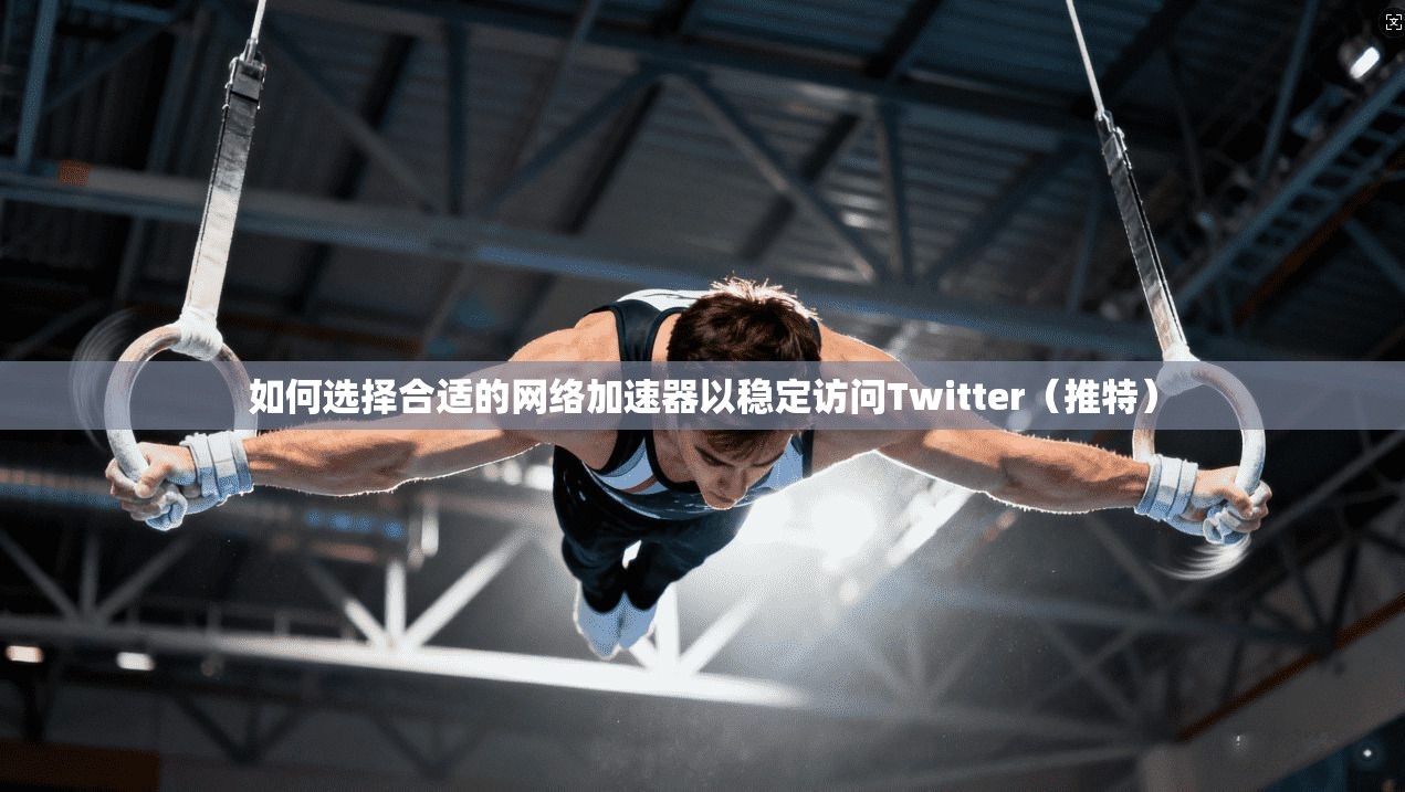 如何选择合适的网络加速器以稳定访问Twitter（推特）