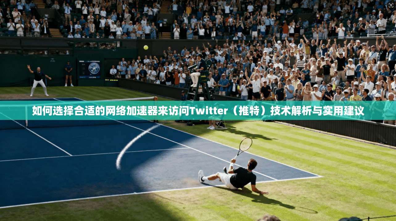 如何选择合适的网络加速器来访问Twitter（推特）技术解析与实用建议