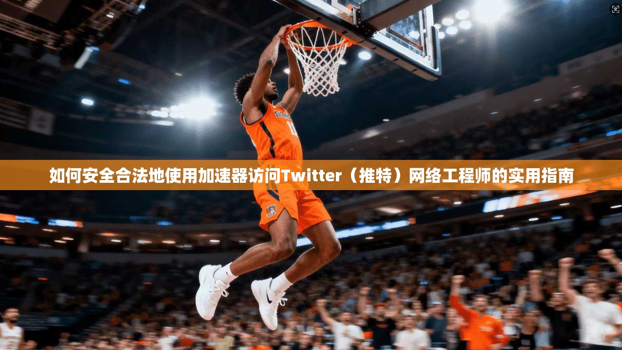 如何安全合法地使用加速器访问Twitter（推特）网络工程师的实用指南