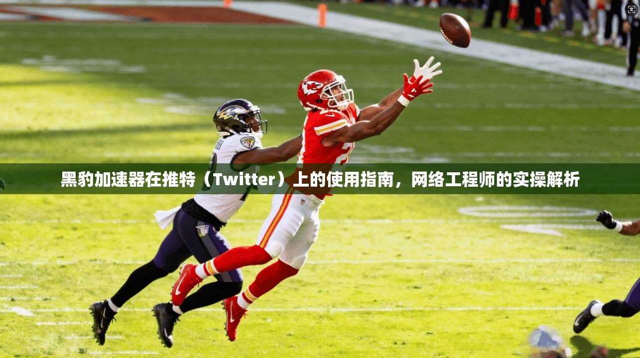 黑豹加速器在推特(Twitter)上的使用指南,网络工程师的实操解析