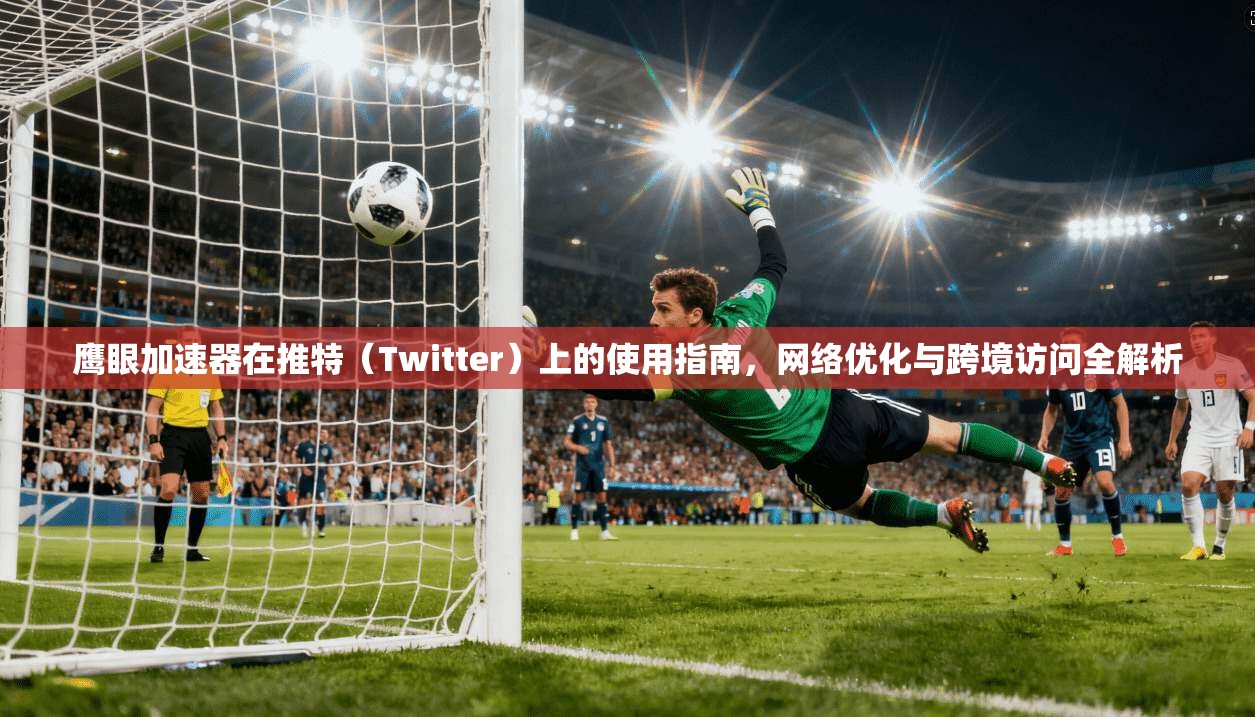 鹰眼加速器在推特（Twitter）上的使用指南，网络优化与跨境访问全解析