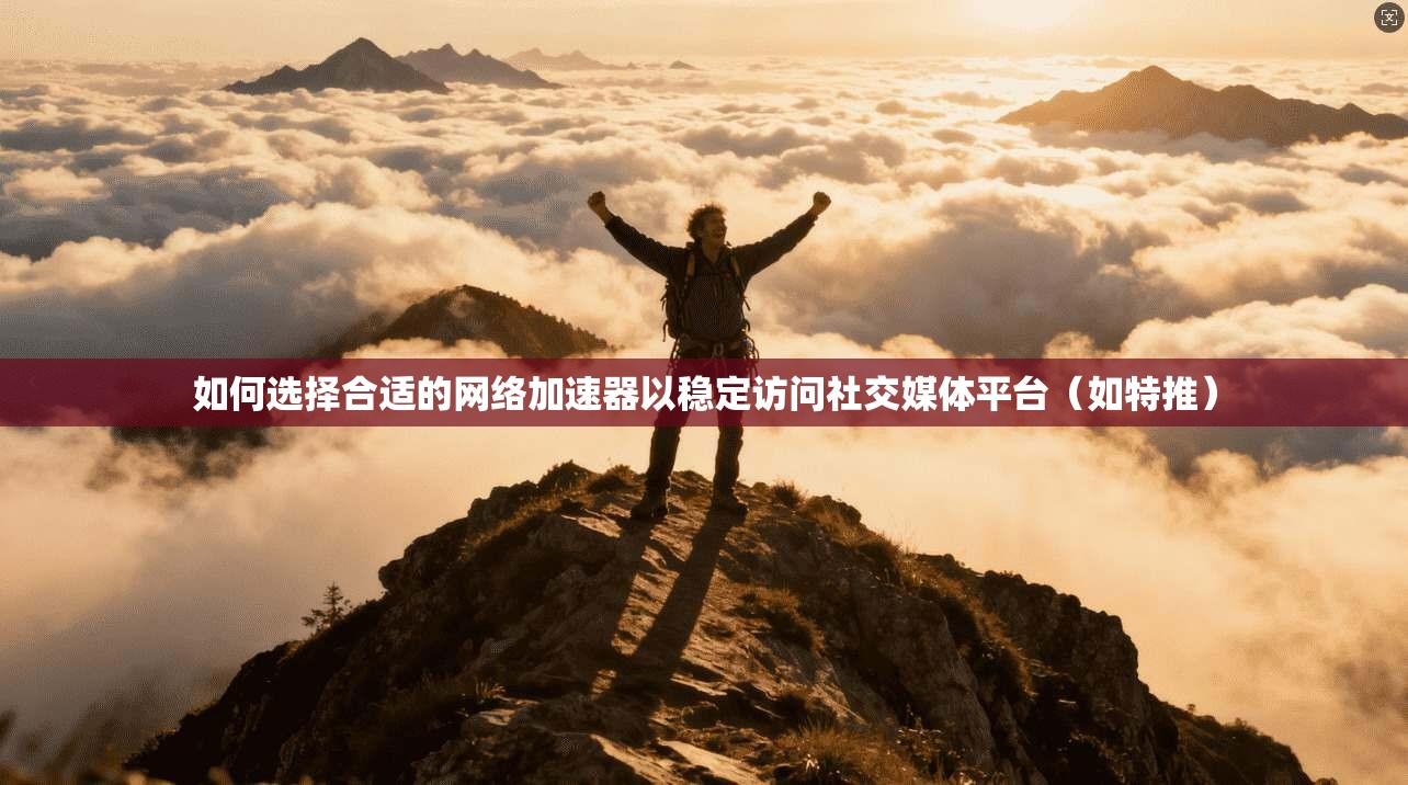 如何选择合适的网络加速器以稳定访问社交媒体平台(如特推)