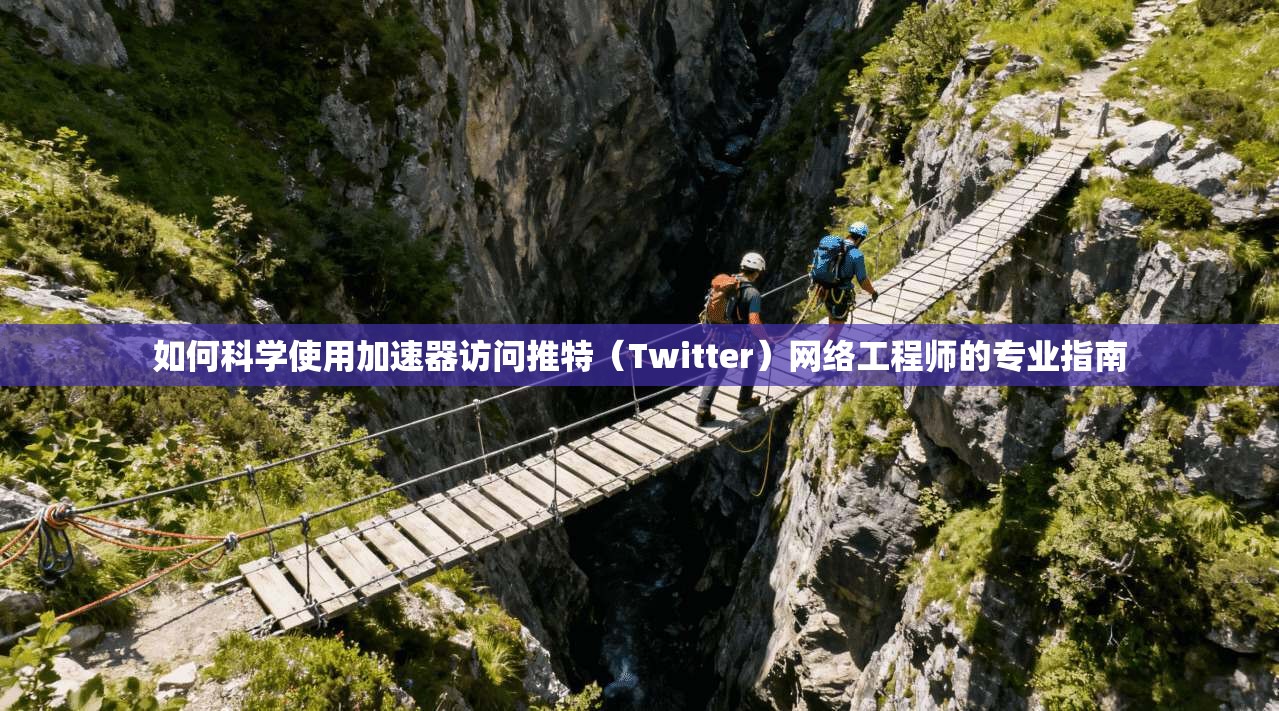 如何科学使用加速器访问推特(Twitter)网络工程师的专业指南