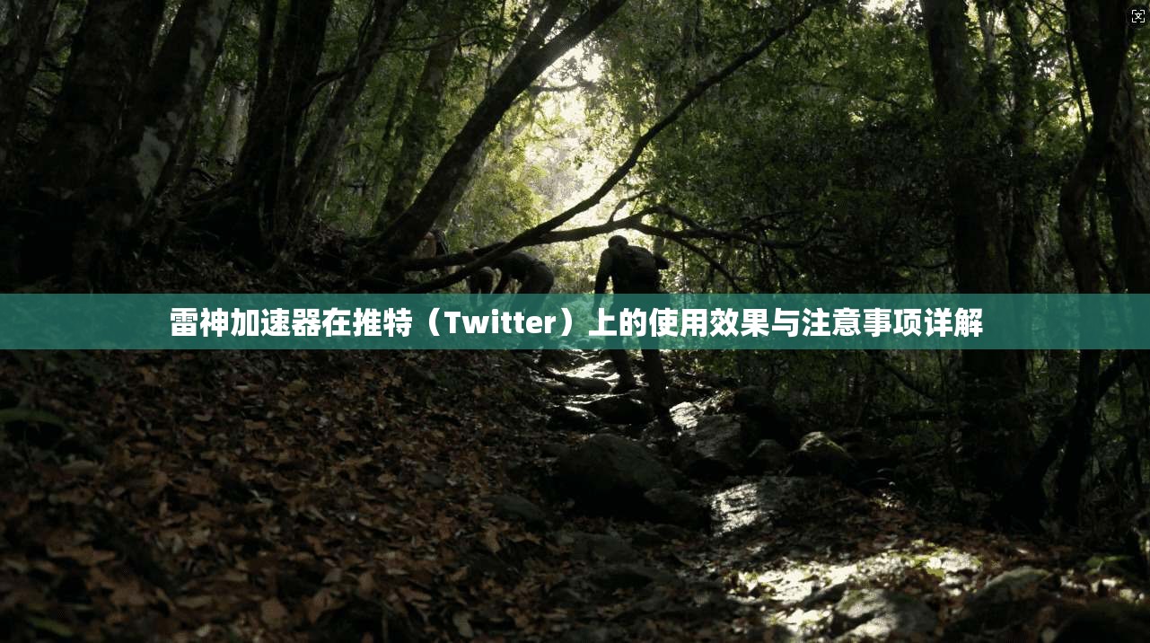 雷神加速器在推特（Twitter）上的使用效果与注意事项详解