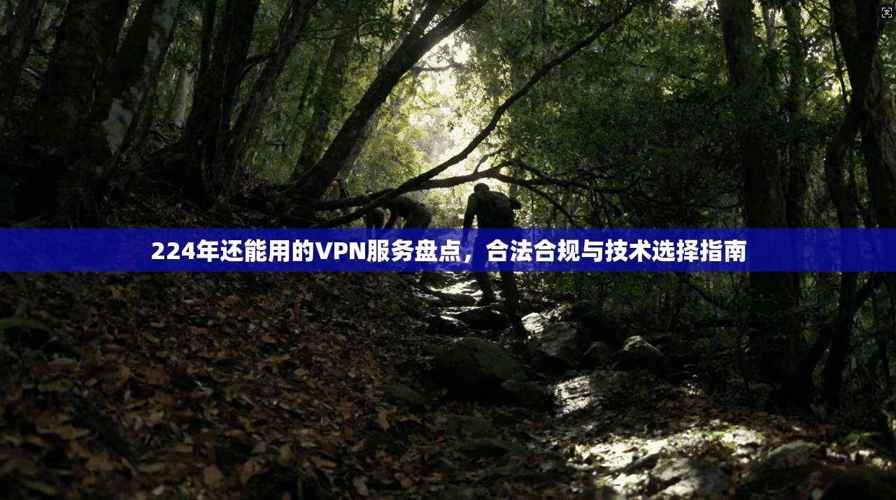 224年还能用的VPN服务盘点，合法合规与技术选择指南