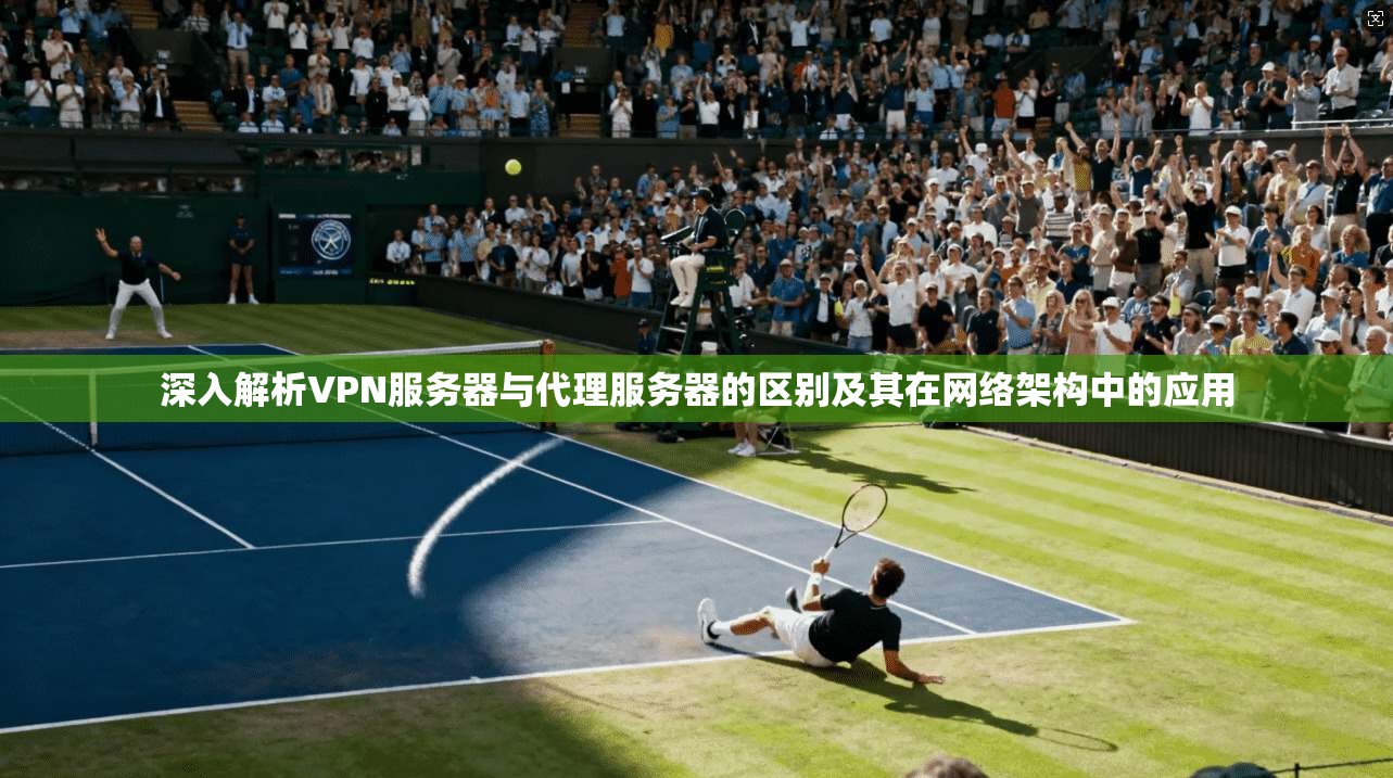 深入解析VPN服务器与代理服务器的区别及其在网络架构中的应用