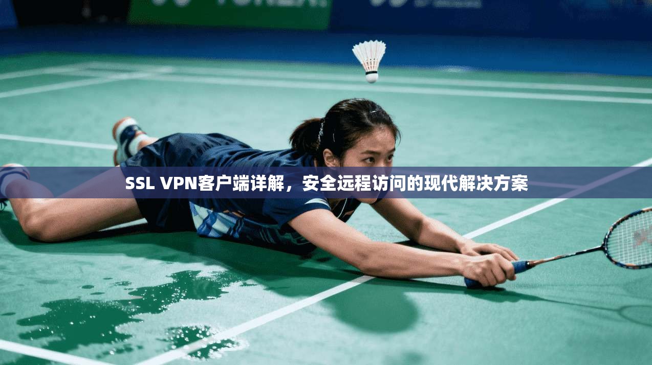 SSL VPN客户端详解,安全远程访问的现代解决方案
