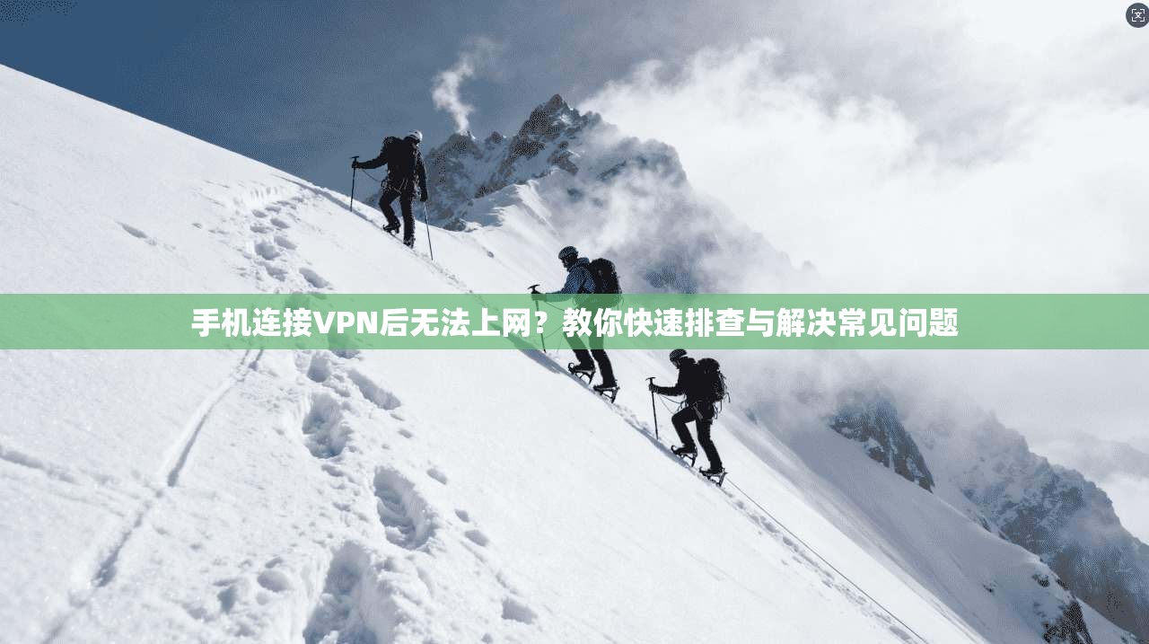 手机连接VPN后无法上网？教你快速排查与解决常见问题