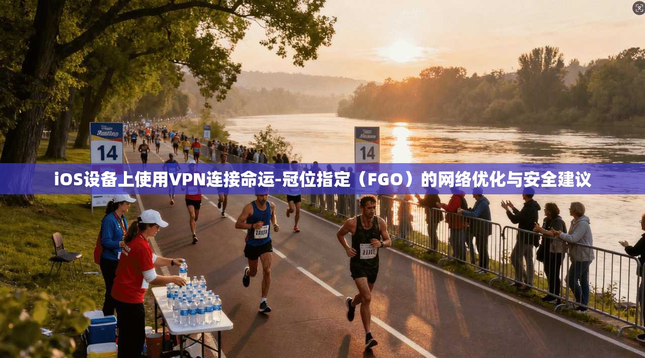 iOS设备上使用VPN连接命运-冠位指定（FGO）的网络优化与安全建议