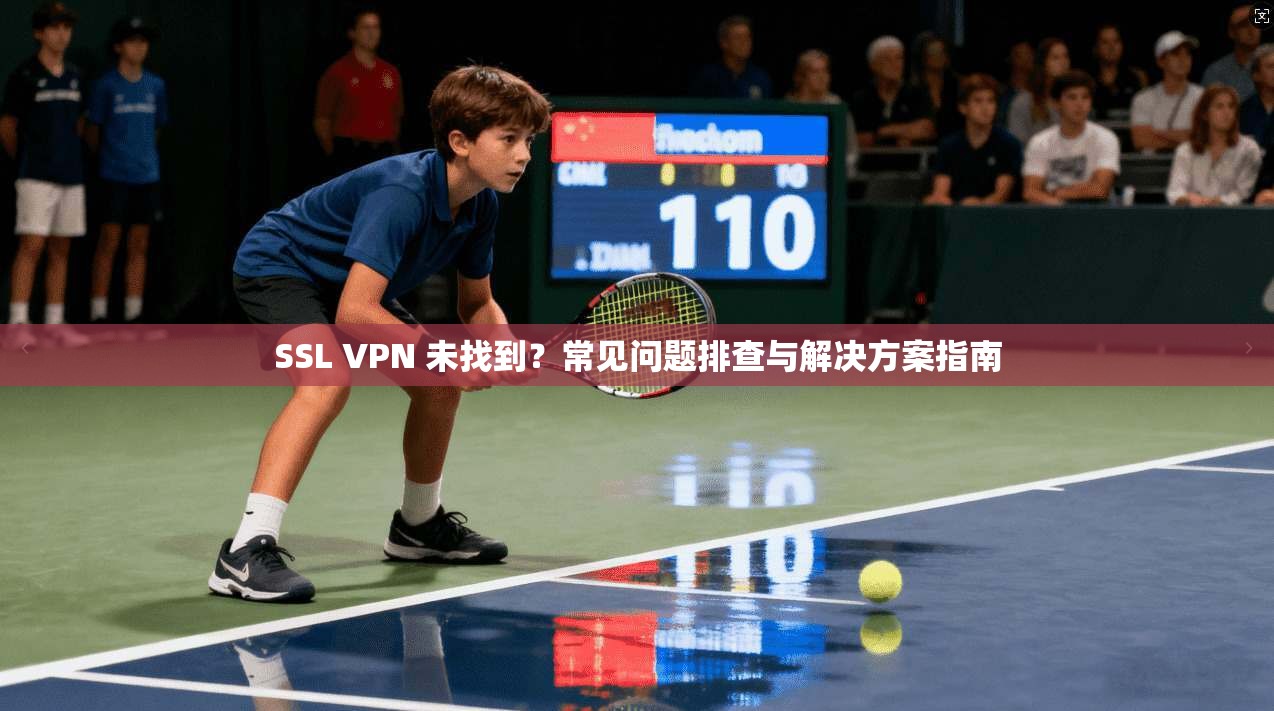SSL VPN 未找到？常见问题排查与解决方案指南